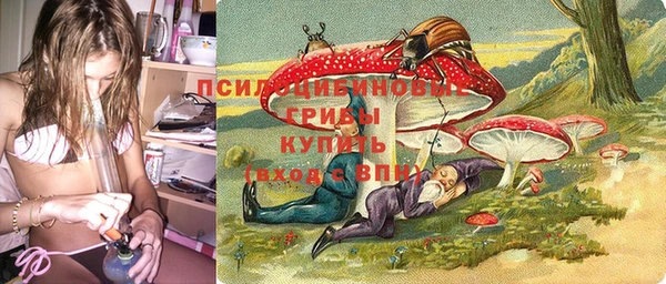 бутират Алексеевка