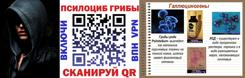 Галлюциногенные грибы Psilocybe  Конаково 
