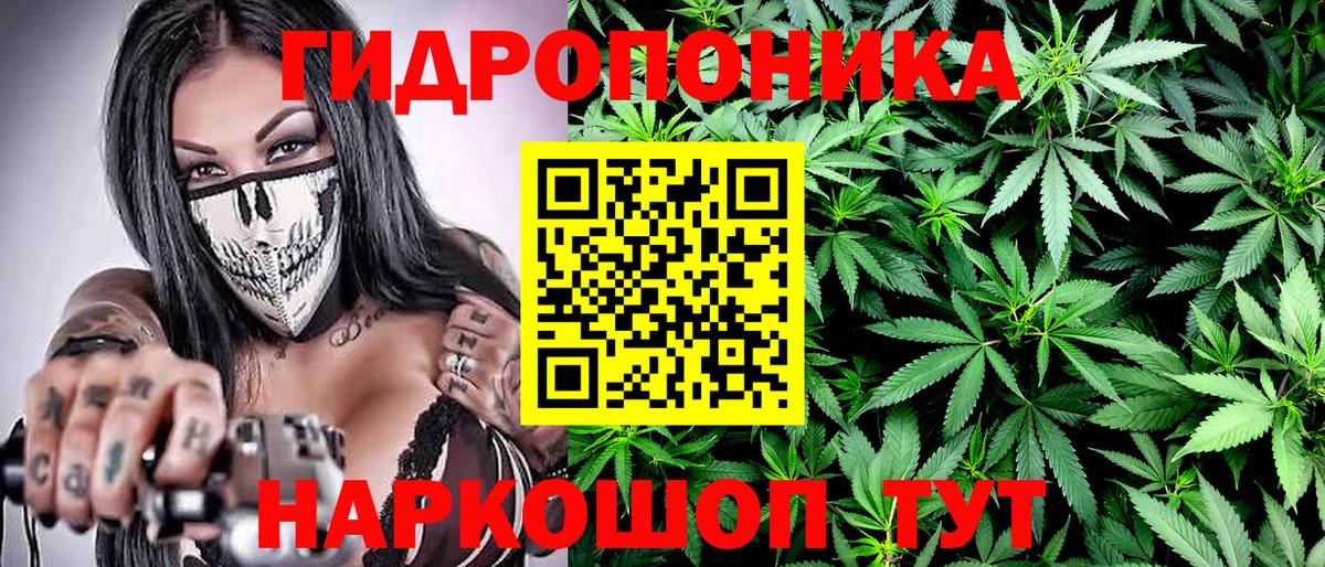 Марихуана тримм  Вход с VPN  Бошки Шишки White Widow  Шишки марихуана конопля  Конаково 